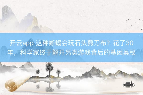 开云app 这种蜥蜴会玩石头剪刀布？花了30年，科学家终于解开另类游戏背后的基因奥秘