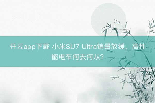 开云app下载 小米SU7 Ultra销量放缓，高性能电车何去何从？