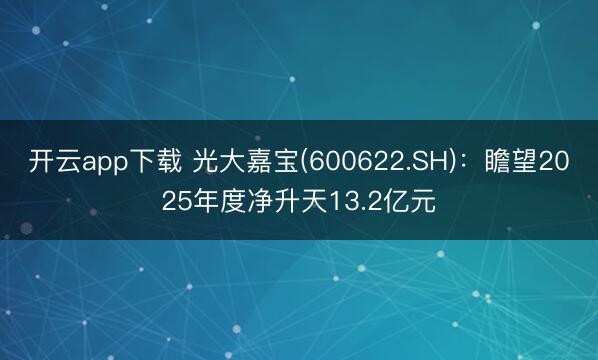 开云app下载 光大嘉宝(600622.SH)：瞻望2025年度净升天13.2亿元