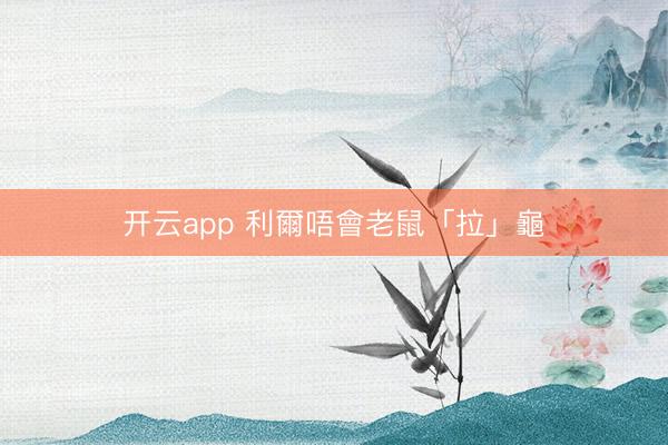 开云app 利爾唔會老鼠「拉」龜