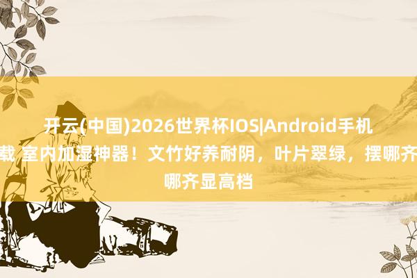 开云(中国)2026世界杯IOS|Android手机app下载 室内加湿神器！文竹好养耐阴，叶片翠绿，摆哪齐显高档