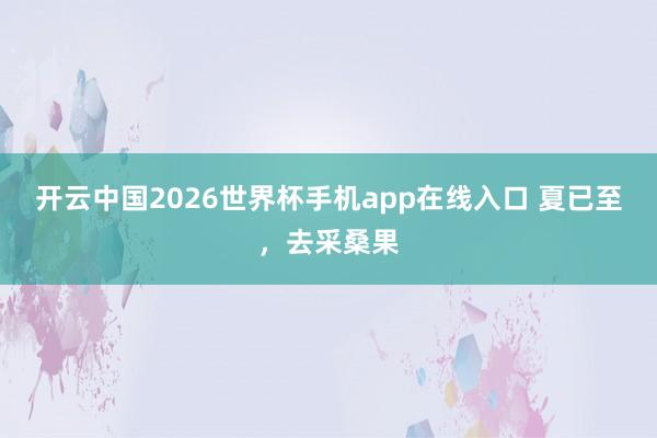 开云中国2026世界杯手机app在线入口 夏已至,去采桑果