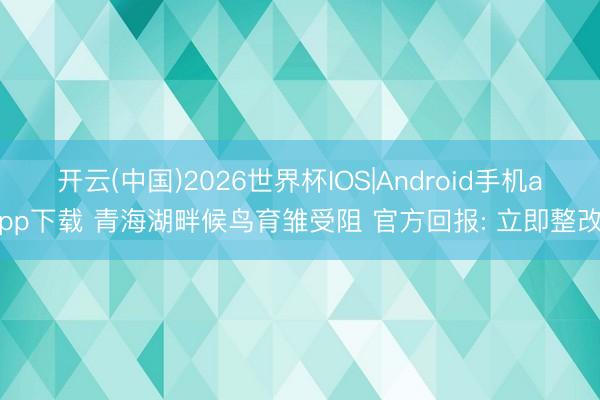 开云(中国)2026世界杯IOS|Android手机app下载 青海湖畔候鸟育雏受阻 官方回报: 立即整改