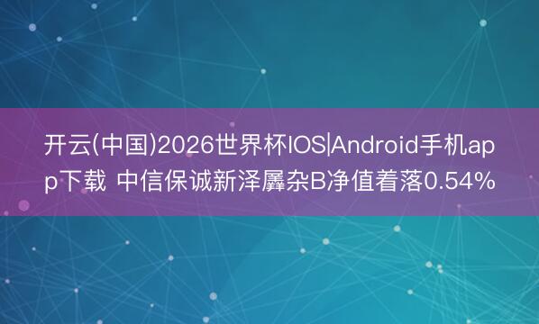 开云(中国)2026世界杯IOS|Android手机app下载 中信保诚新泽羼杂B净值着落0.54%